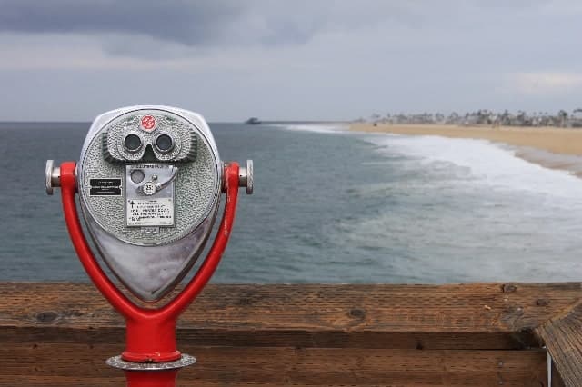 The Reluctant Entrepreneur