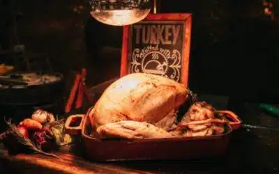 The Turkey Surplus