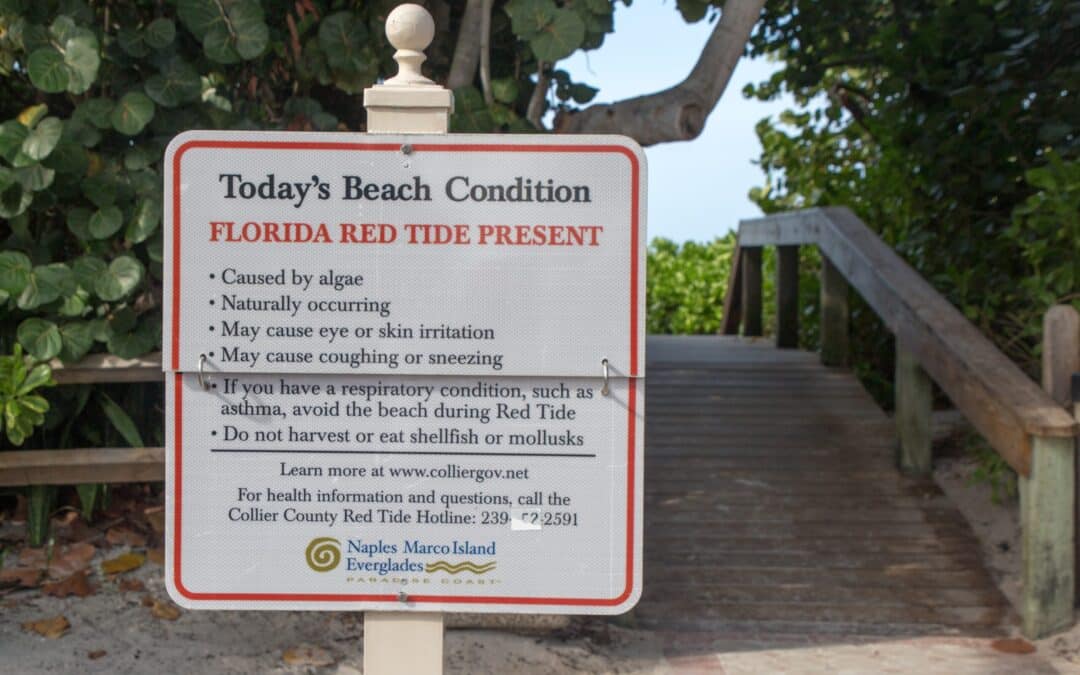 Subscription Red Tide