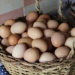 Tax Incentives, All Eggs in One Basket